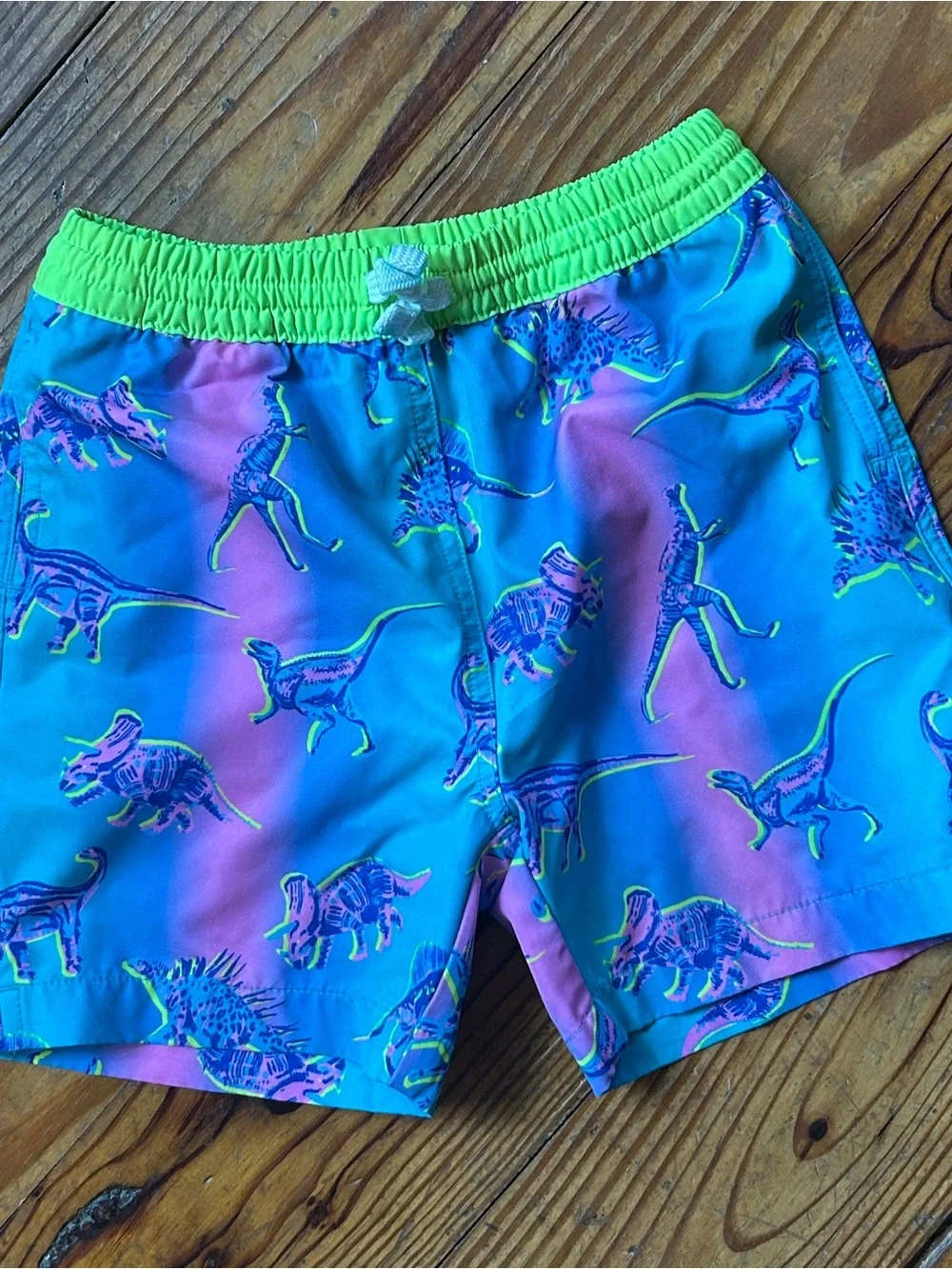 Little Boys Chubbies Neon Gradient Dinosaur Swim Trunks